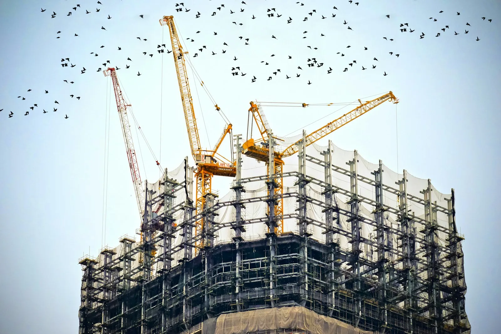 Tower cranes above a building under construction